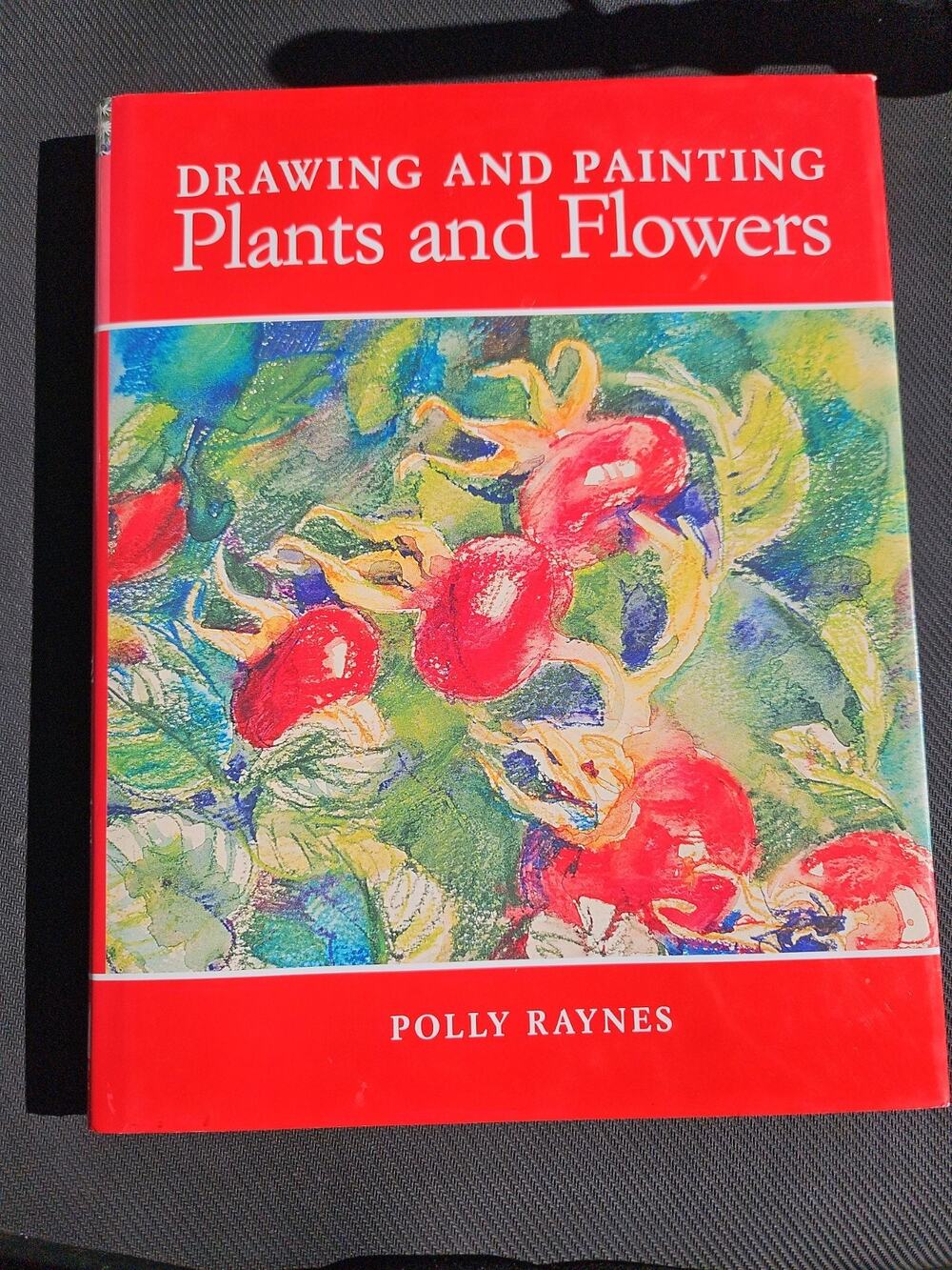 Drawing and Painting Plants and Flowers by Polly Raynes (2003, Hardcover)